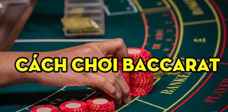 Áp dụng cách chơi bài baccarat của cao thủ để mang lại hiệu quả cao