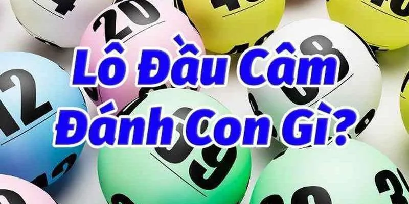 Thường xuyên học hỏi và tích luỹ thêm kinh nghiệm soi cầu cho mình