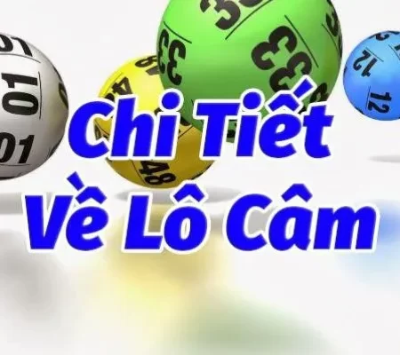 Lô Đầu 2 Câm Đánh Con Gì Để Phát Tài Nhanh Chóng?