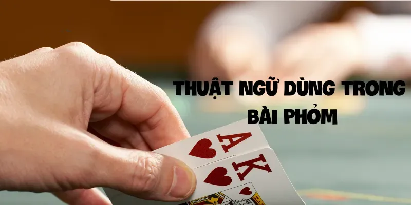 Thuật ngữ dùng trong bài Phỏm